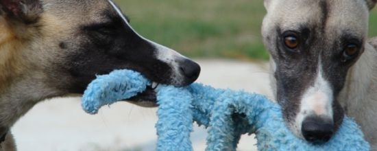 Comme deux larons en foire, 2ème partie