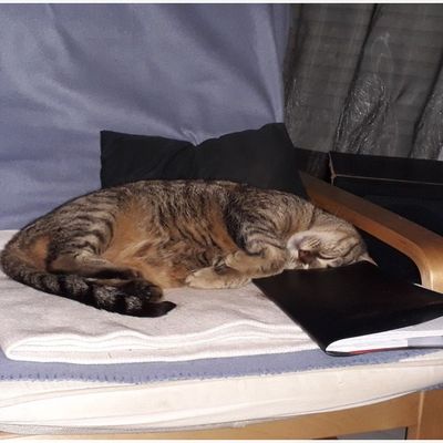   C'est son anniversaire ...