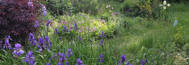 Mon jardin de mai coomme je l'aime !