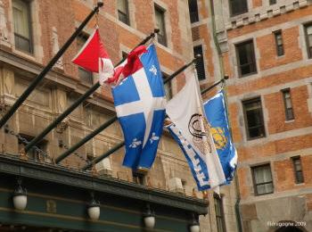 Davantage de jeunes Français au Québec ?