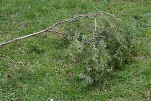 Réaliser une couronne sans structure