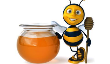 Tout savoir sur le miel 