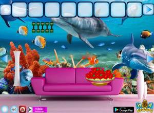 Fish mural house escape soluce