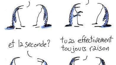 Il y a deux choses pénibles chez toi