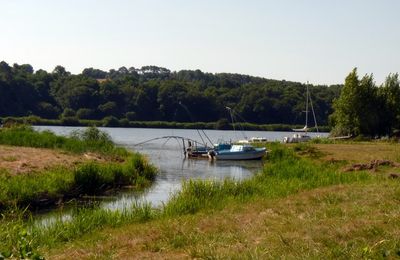 Anse des Alliers
