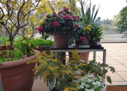 Nous sommes au printemps