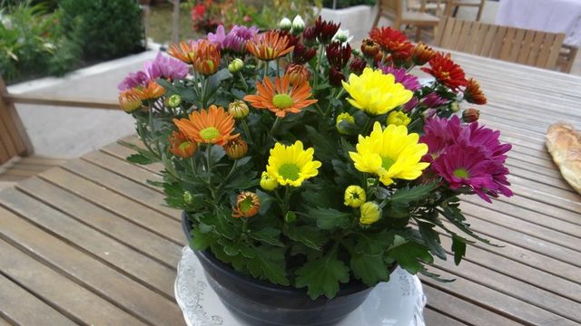 Le Vendredi....C'est le Bouquet de la Semaine