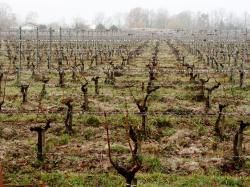 R 15/ CR - MONTUSSAN -27 janvier