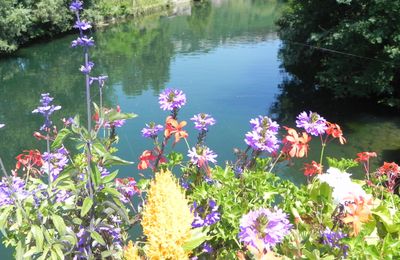 des fleurs ...