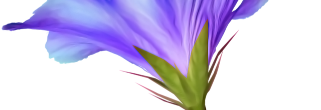 TUBES FLEURS