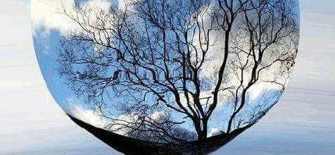 "Nature By Numbers" 