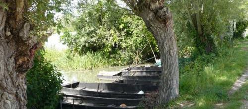 Promenade dans le Marais de Bourges
