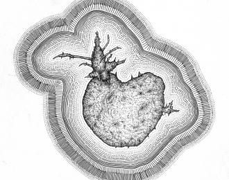 Serge Paillard : Les travaux tubercules, du XXIe siècle à l’éternité