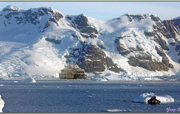 08/03/2022 : la Baie Salpêtrière, ses phoques léopards et ses icebergs - Booth Island - Péninsule Antarctique