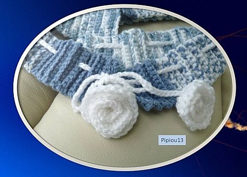 Free Forme...le bonnet (2)