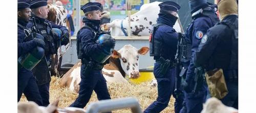 Un salon pas comme les autres