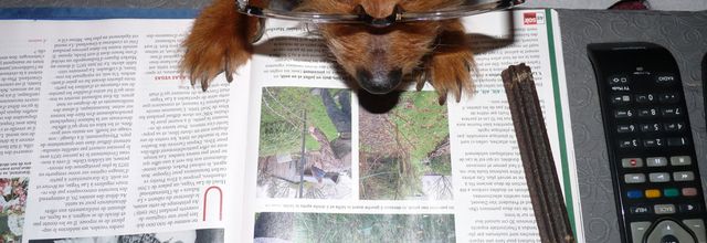 Un peu de lecture?