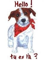 Des merveilles - Merci 