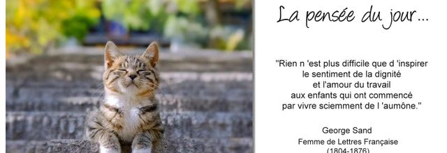 La pensée du jour (215)