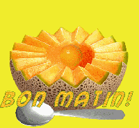 LES FRUITS DE L'ETE (Le melon)