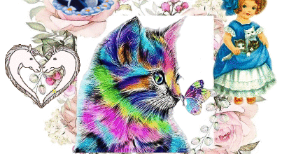 CHAT COLORE PETITE FILLE