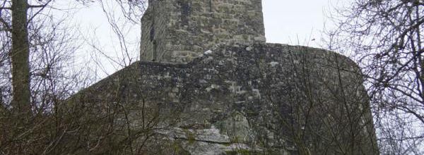 Retour à ma forêt (1) - Du danger d'invoquer les esprits