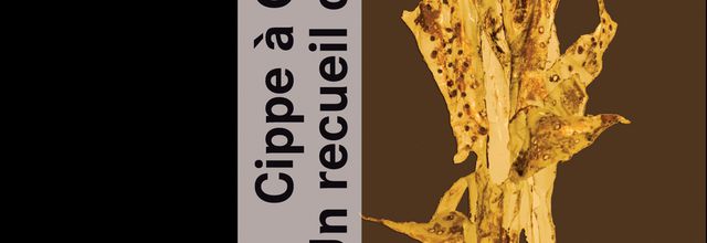 Cippe à Corinna Bille