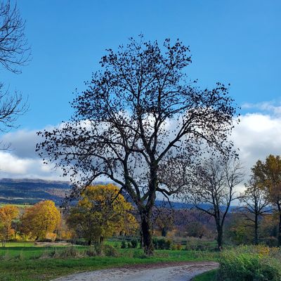 Le 30 octobre 2025 : Descente au Séran 1 
