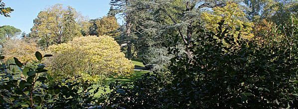 Automne 2012