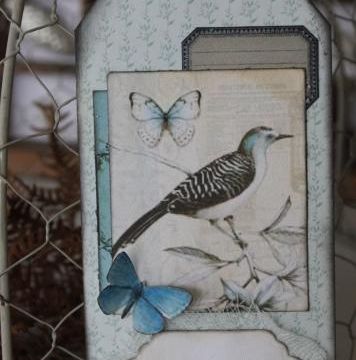 Double tag aux oiseaux