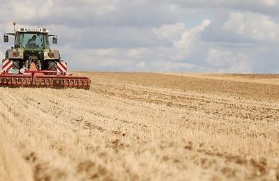 Agriculture : les plans de lutte contre les pesticides inutiles ?