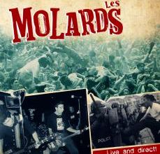 Les Molards - Un live pour fêter leurs 20 ans