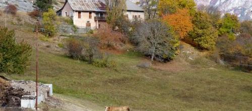 L'automne à Saint Jean - Montclar (04)