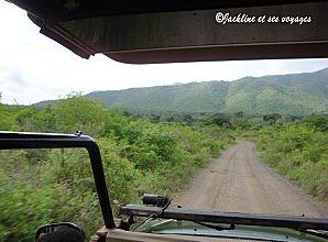 Nos voyages : moyens de transport locaux (3)
