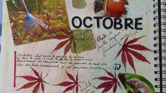 Journal des mois : Octobre 