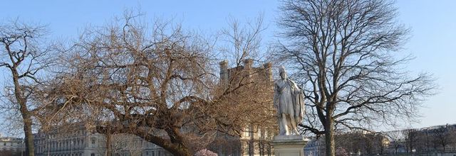 Jardin des Tuileries : un printemps bien timide ...