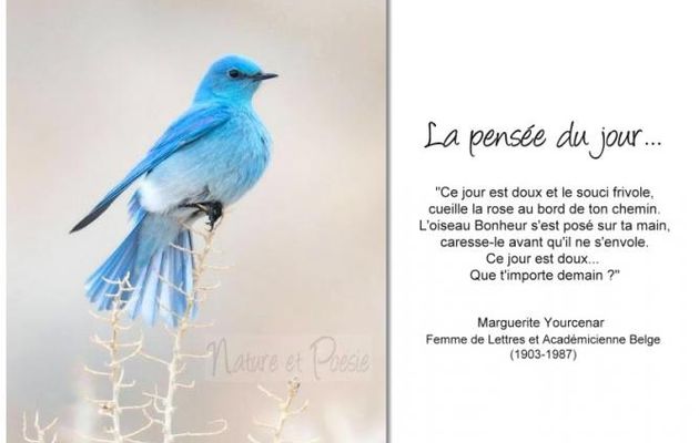 Ce jour.....