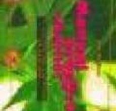Descargar PDF MANUAL PRACTICO PARA SIBARITAS: EL CULTIVO DEL CANNABIS EN EXTERI OR