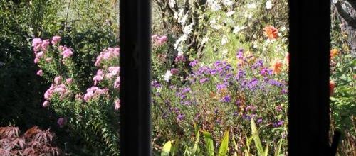1er octobre au jardin