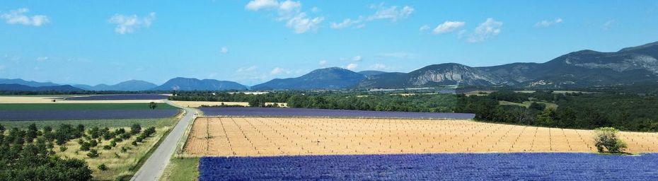 Valensole, au-dessus des champs de lavande