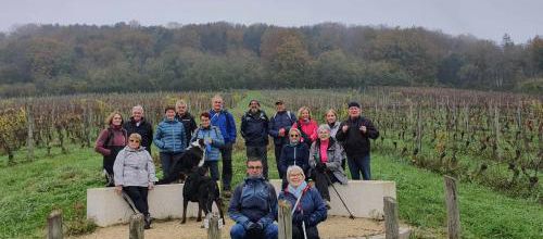 CR CIRCUIT DES VIGNES. 04/11/2024