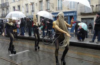 Le Carnaval des Monstres à Bordeaux : les Chevelus en photos...