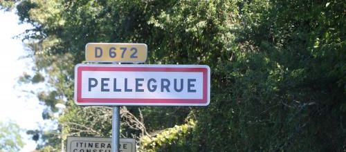 PELLEGRUE (33)