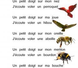 Silence et bruit chez les souris