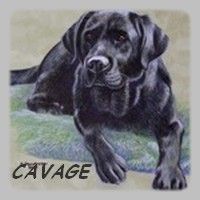 Chanel cours de cavage