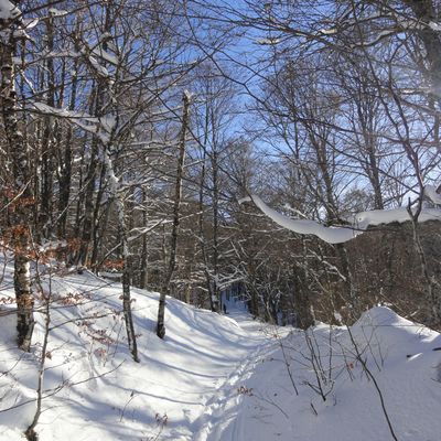 Randoluge : Pla de la Mounoye (Coulobre - Pays d'Olmes) - 09