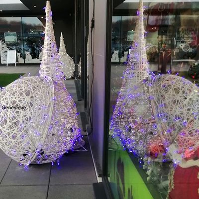 Les reflets de janvier 2026