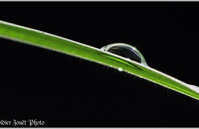 Goutte d'eau (6)