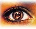 Yeux : exercices choisis