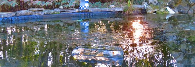 reflets sur 1 glaçon ...